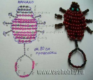 Божья коровка. Схема