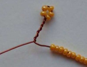 Акация Акация