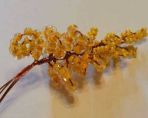 Акация Акация