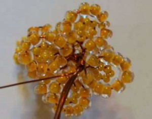 Акация Акация