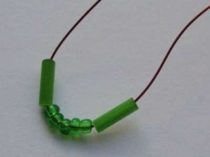 Акация Акация