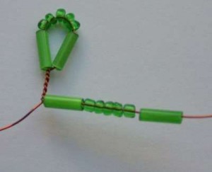 Акация Акация