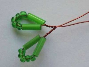 Акация Акация