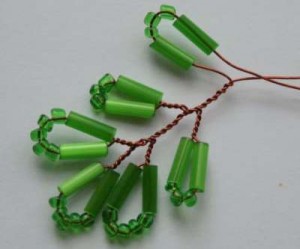 Акация Акация