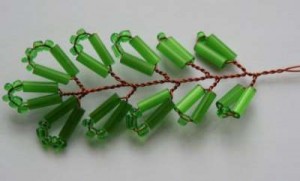 Акация Акация