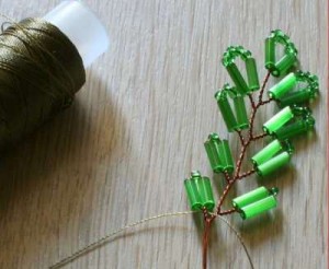 Акация Акация