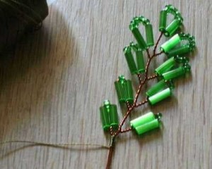 Акация Акация