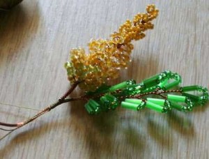 Акация Акация