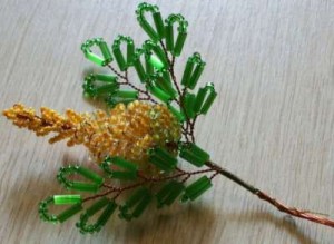 Акация Акация