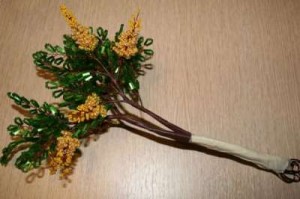 Акация Акация