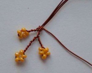 Акация Акация