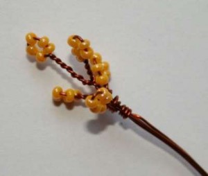 Акация Акация