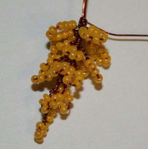 Акация Акация