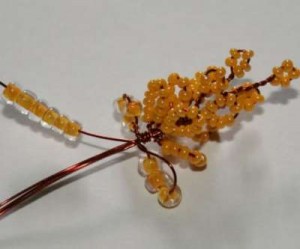 Акация Акация