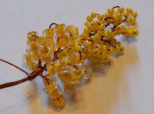 Акация Акация