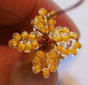 Акация Акация