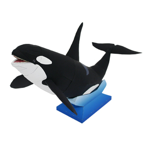 Касатка Касатка