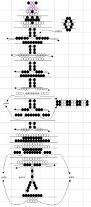 Схема бисероплетения зебры