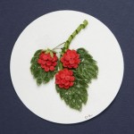 Ягода, малина